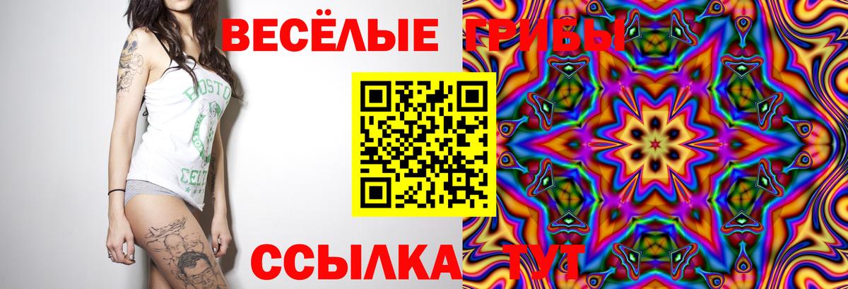 Галлюциногенные грибы ЛСД Приморско-Ахтарск